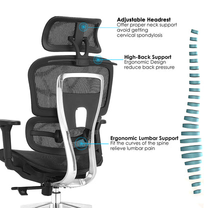 High back office chair - Model No. KP -Lana-H(Alum. frame)| Best Office Chair