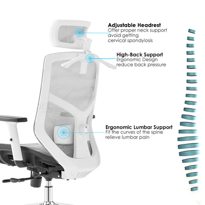 High back office chair - Model No. KP -Lina-H (Full mesh) White Color | Best Office Chair